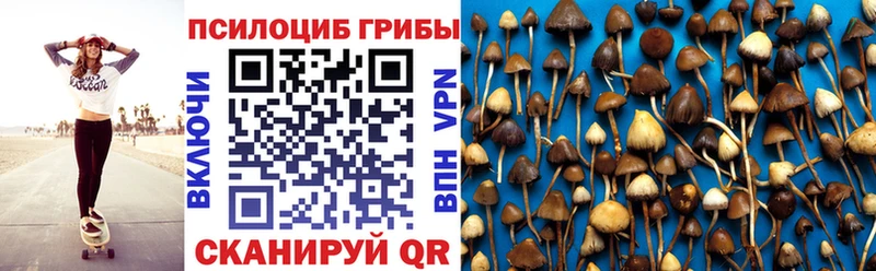 что такое Сургут Псилоцибиновые грибы прущие грибы