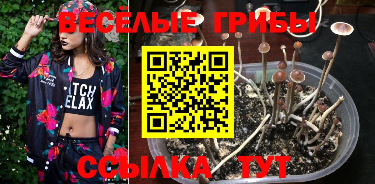 Галлюциногенные грибы ЛСД  Сургут  Псилоцибиновые грибы мицелий 