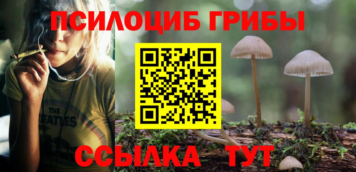 Галлюциногенные грибы MAGIC MUSHROOMS  Псилоцибиновые грибы мухоморы  Сургут  Вход с VPN 