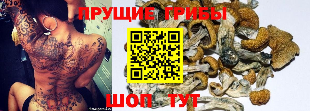 Псилоцибиновые грибы GOLDEN TEACHER Сургут