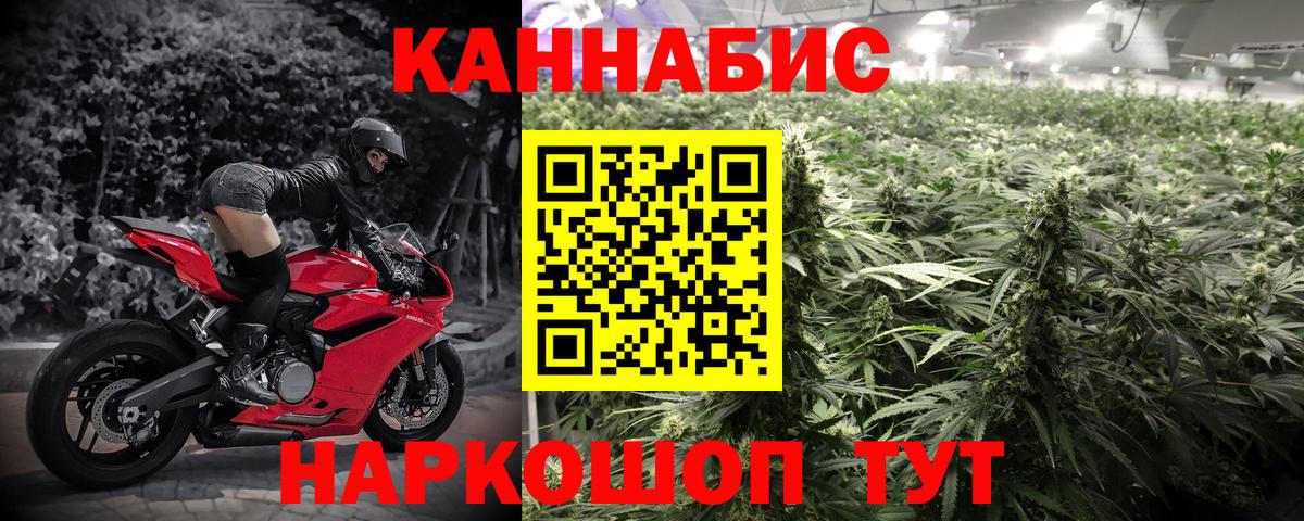 Бошки Шишки семена Сургут